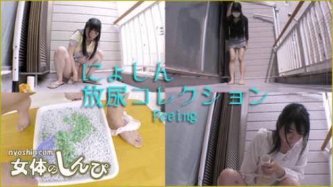 Nyoshin n1517 Shimpe of a woman Shiny girls Nishi gathering collection