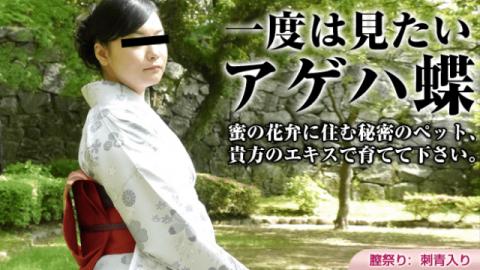 Pacopacomama 030316_042 Tomoko Nakai Ageha Butterfly Looking Suitable for Kimono
