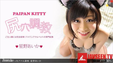 [013113_523]パイパンキティをアナル調教