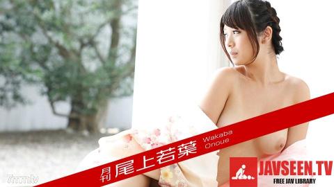 [012018_002]月刊 尾上若葉