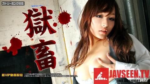 [121411-886]獄畜11 〜美女の恥肉塊〜 あかり優