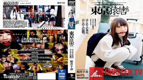 GAGD-001 Studio Dream Ticket - Tokyo Gag Bondage Chiharu Sakurai