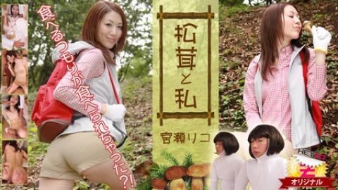 Rico Miyase: Matsutake Mushrooms and Me - Meant to eat them but ended up getting eaten