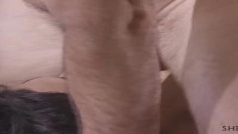 SheWillCheat 22 03 18 Brooklyn Gray XXX