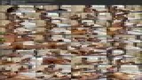 ManyVids  Emma Rose + JJ Graves - Transsexuals, Shemale, Anal, Bareback