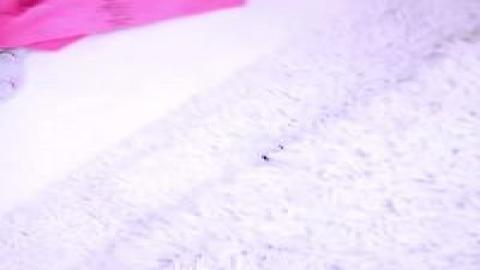 LANewGirl 22 06 28 Sage Fox Modeling Audition XXX